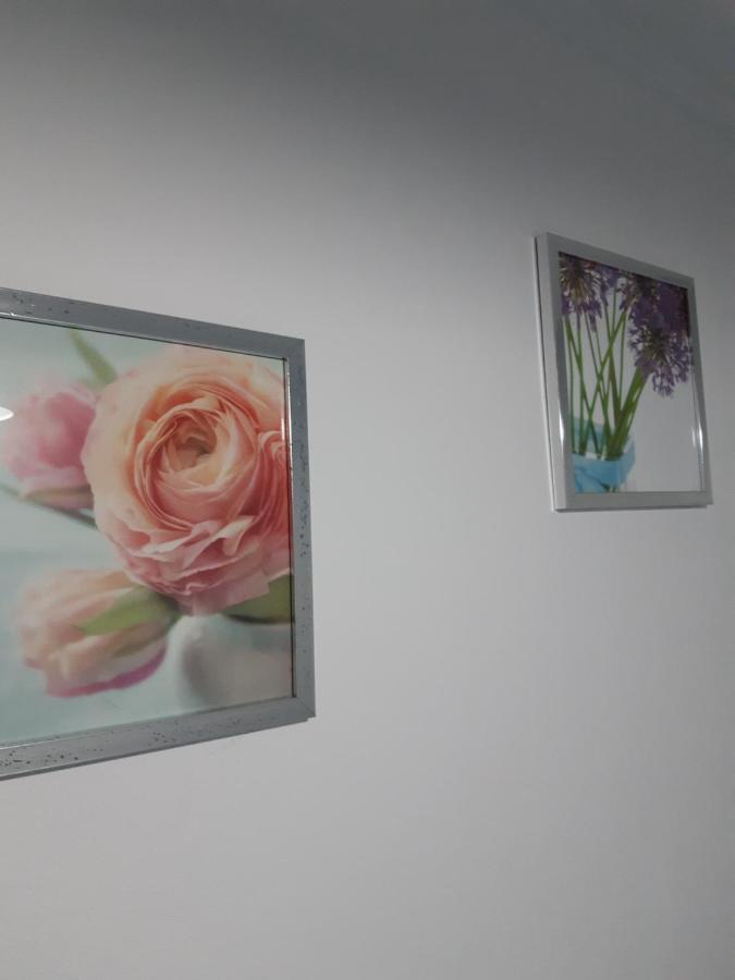 Apartamento Piquinho Machico  Luaran gambar