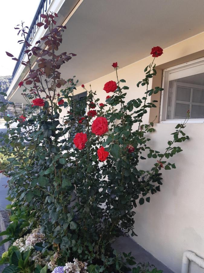Apartamento Piquinho Machico  Luaran gambar